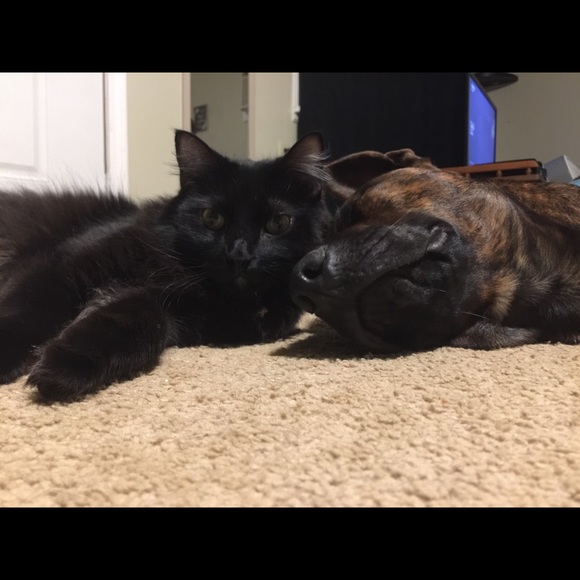 Hi! I am Natalie!🤙🏼 - Picture 6 of 6